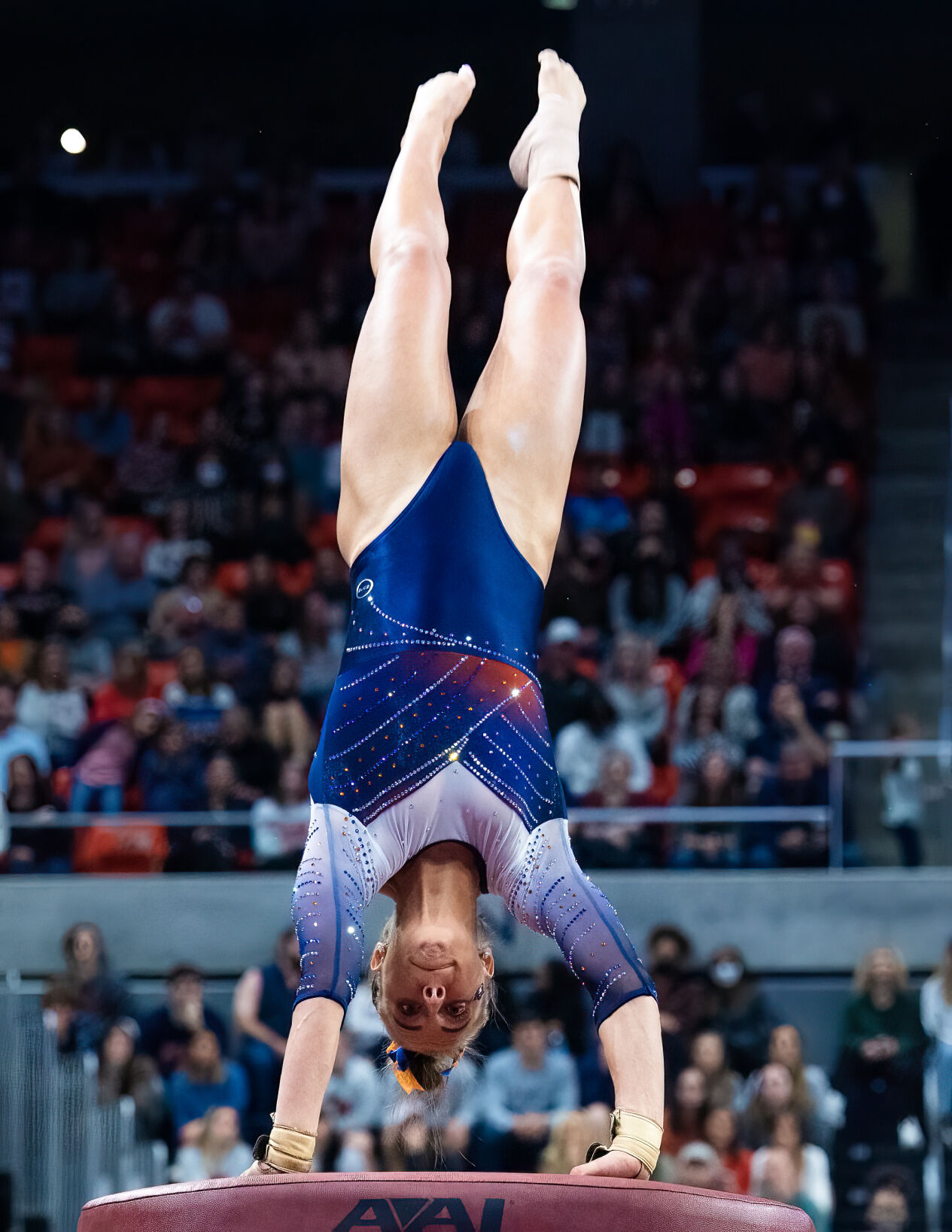 Auburn Gymnastics vs Missouri